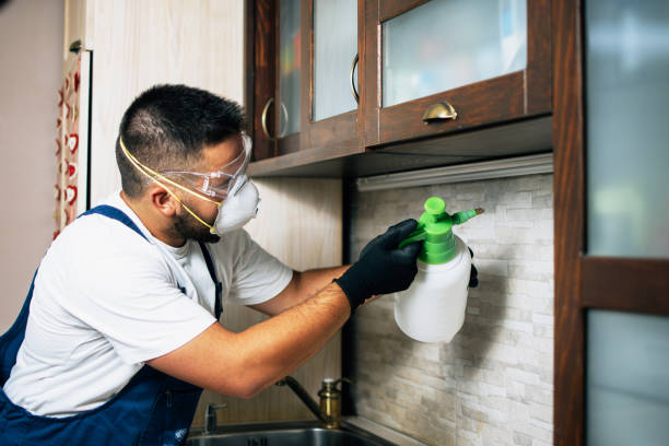Best Best Pest Control Companies  in Pocomoke City, MD