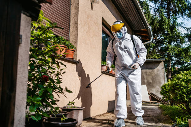  Pocomoke City, MD Pest Control Pros