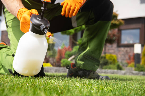 Professional Pest Control in Pocomoke City, MD