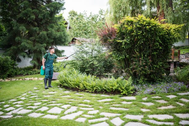 Best Mosquito Control Services  in Pocomoke City, MD