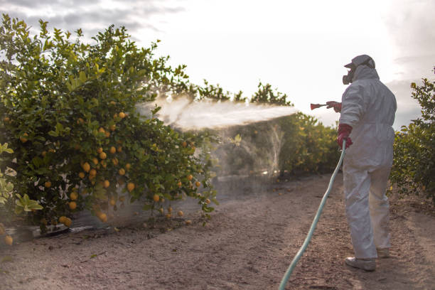 Pest Control for Restaurants in Pocomoke City, MD