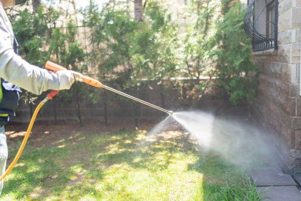 Best Residential Pest Control  in Pocomoke City, MD