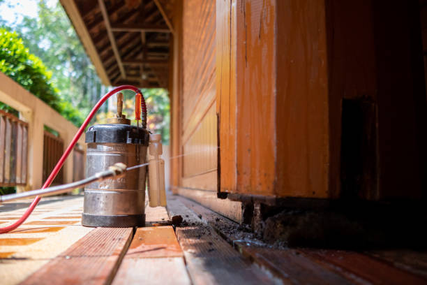 Best Ant Control Services  in Pocomoke City, MD