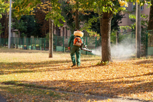 Best Best Pest Control Companies  in Pocomoke City, MD