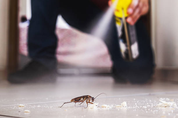 Best Commercial Pest Control Services  in Pocomoke City, MD