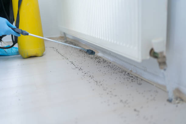 Best Pest Removal Services  in Pocomoke City, MD